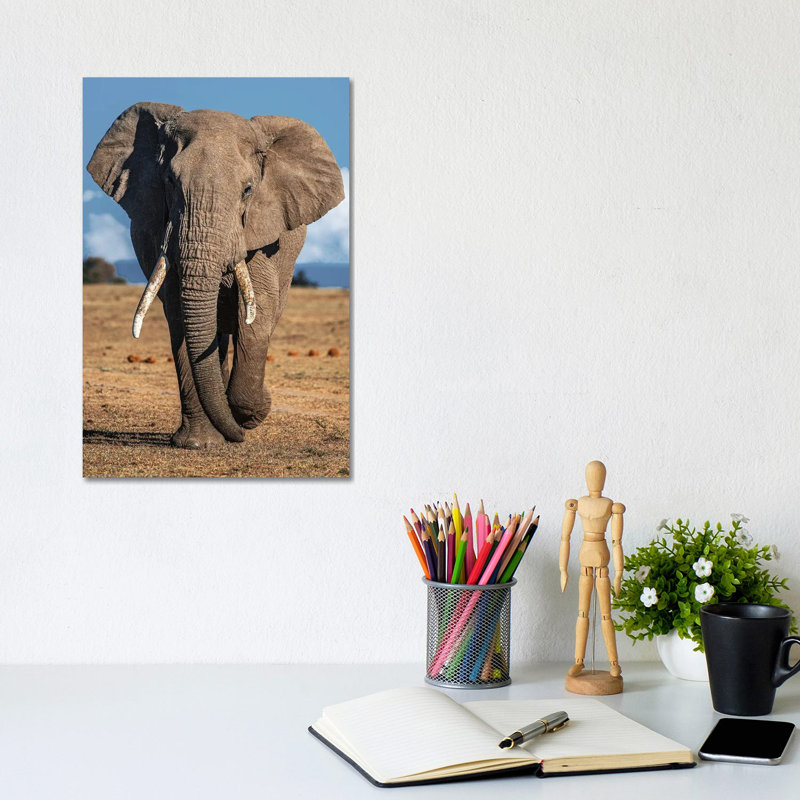Elephant by Nikita Abakumov - Wrapped Canvas Print