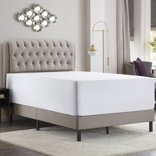 Drap-housse uni Empyrean Bedding