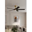 Ventilateur de plafond intelligent DEL 5CCT 56 "Seressa-124319093-124319095