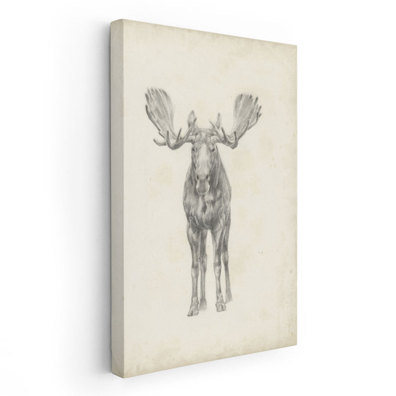 Moose Study - Canvas Print Wall Art, 60" H x 40" W