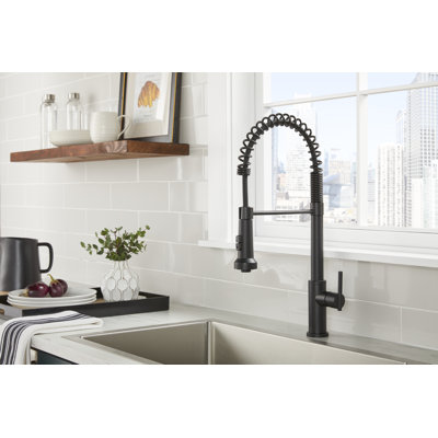 Parma Pre-Rinse Single Handle Spring Pull-Down Kitchen Faucet