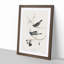 Snow Birds by John Audubon - Picture Frame Painting Print-55618646-55618644