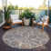  Alegandro Area Rug with Non-Slip Backing