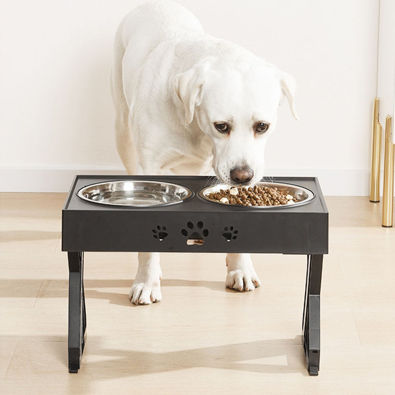 Pet Bowl