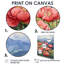 Pivoines dans la crête de montagne II - Pivoines, reproductions encadrées-2065347127-2065347121-2065347149