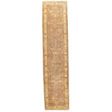 Willus Oriental Area Rug in Tan