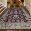 Sultanabad Wool Oriental Area Rug