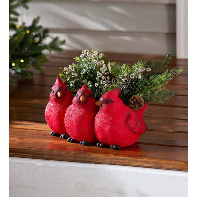 Trio de pots d'intérieur / extérieur Cardinal