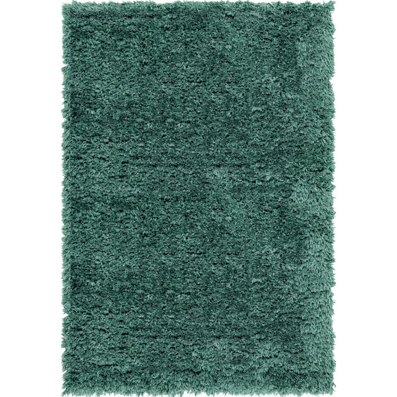 Tapis à poils longs en polyester tissé à la machine Ragene, Rectangle 4 pi x 6 pi