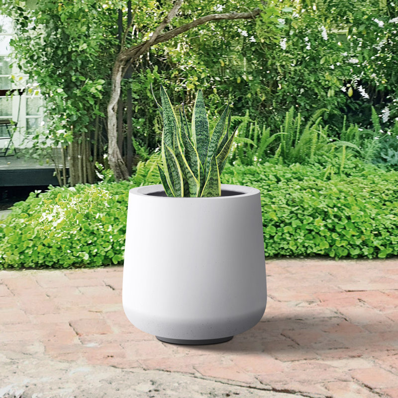 Laihla Pot Planter, 17.3 x 16.5 x 16.5, Solid White