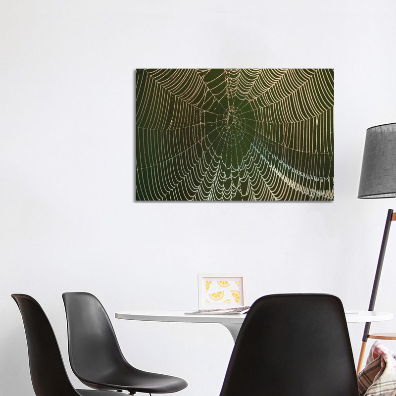 Morning Dew On A Spider Web, Cameron Prairie National Wildlife Refuge, Louisiana by Maresa Pryor - Wrapped Canvas Print