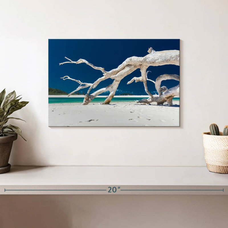 Gillard Whitehaven Gillard Driftwood, H 8 po x l 12 po