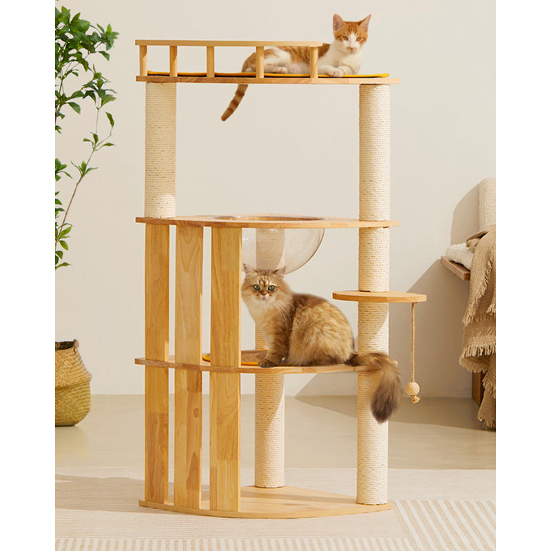 Structure d'escalade simple pour chat