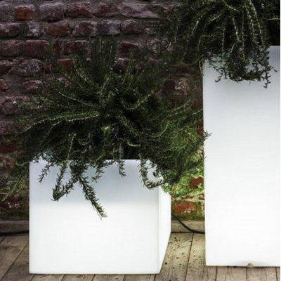 Cubotti Planter