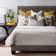 Charlie Modern & Contemporary Cotton Blend Coverlet