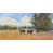 Glossy Poster Paper
