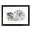 Restful Cat by Jean Bernard - Picture Frame Drawing Print-55598187-55598195