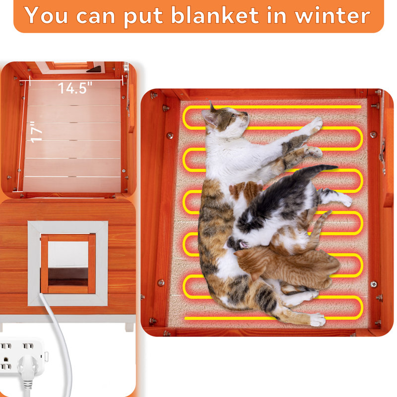 Maison pour chat Eyuel, Orange/Blanc