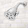 Anystream Pure 2.0 GPM Multi-Function Adjustable Shower Head with Filter