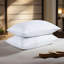 Down Blend Medium Pillow-646460255-540035295