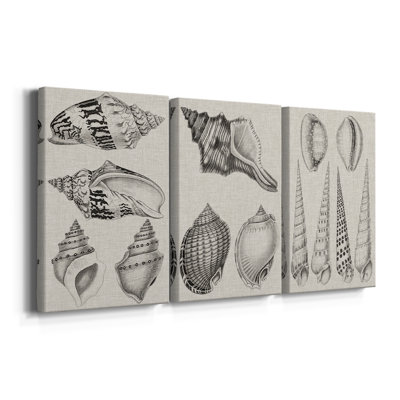 Gris anthracite et coquilles de lin IV - Toile tendue sur mesure avec châssis - 3 pièces