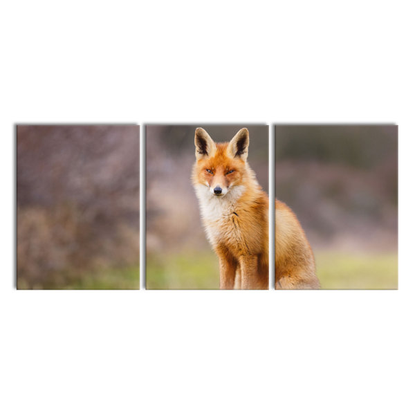 East Urban Home Cunning Fox 3 Piece Wrapped Canvas Print Wayfair co uk
