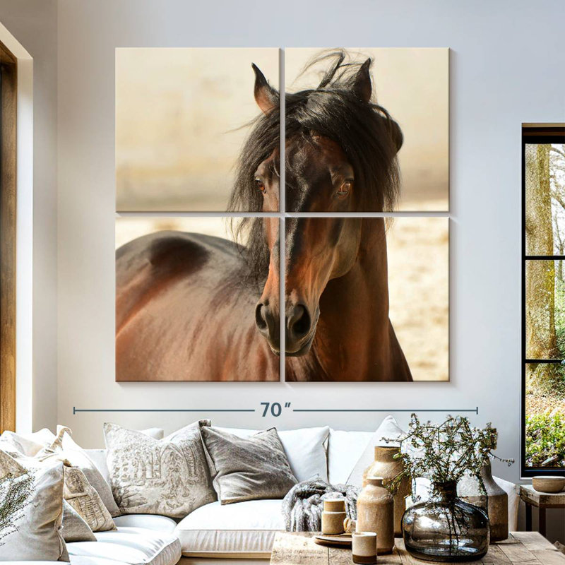 Brampt Brown Casanova, 57" H x 57" W