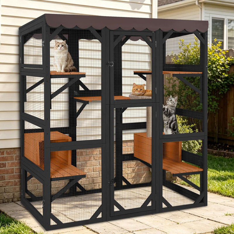 Grande cage à chat pour chat avec plusieurs chats Catio