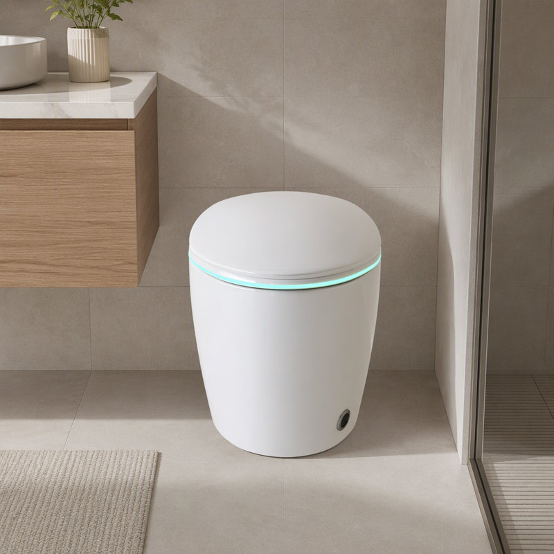 Smart One Piece Toilet with Bidet, Auto Open Close Seat, Dryer and Warm Water
