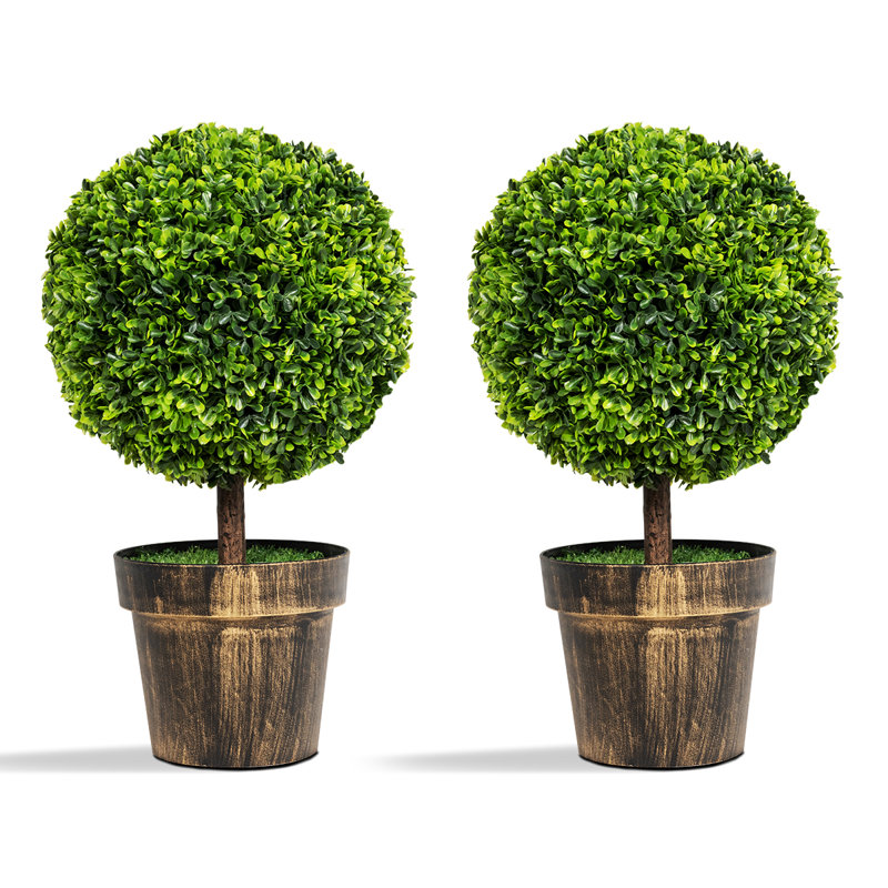 53 cm H Faux Boxwood Topiary Plant in Plastic Pot