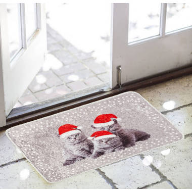 REINDEER FLY Outdoor Mat, 17x 29 Non Slip Front Door Mat for Entryway Low  Profile Dirt Trapper Mat Gray 