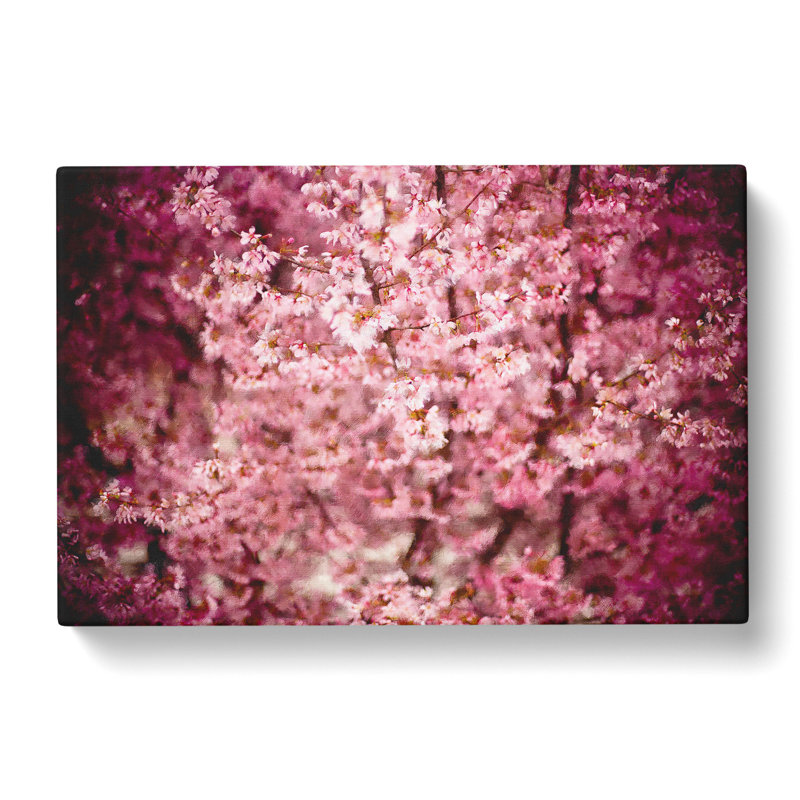 Pink Cherry Blossom Flowers Vol.5 - Wrapped Canvas, 40cm H x 60cm W x 3cm D