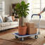 Chariot de plateforme pliable d'une capacité de 330 lb et de 660 lb-122925238-122925235
