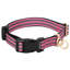 Pet Carrier-644978351