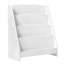 Misal 70cm H x 61cm W Standard Bookcase-1099592061