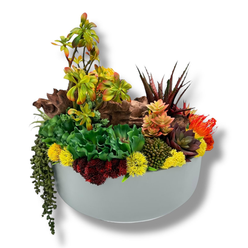 Conception succulente dans un vase circulaire gris en fibre de verre