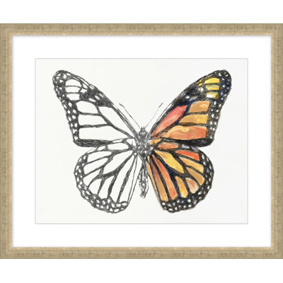 Papillon Croquis 3 - Peinture encadrée sur papier