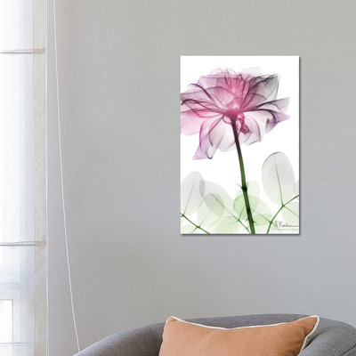 «Rose Dynasty II» par Albert Koetsier, impression sur toile tendue
