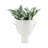 White Ceramic Vase with Handles-1183885162