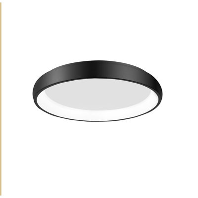Acrylic LED Flush Mount