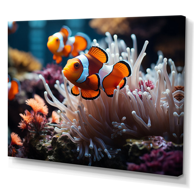 «Orange clownfish», art marin mural, 12" H x 20" W, Toile tendue