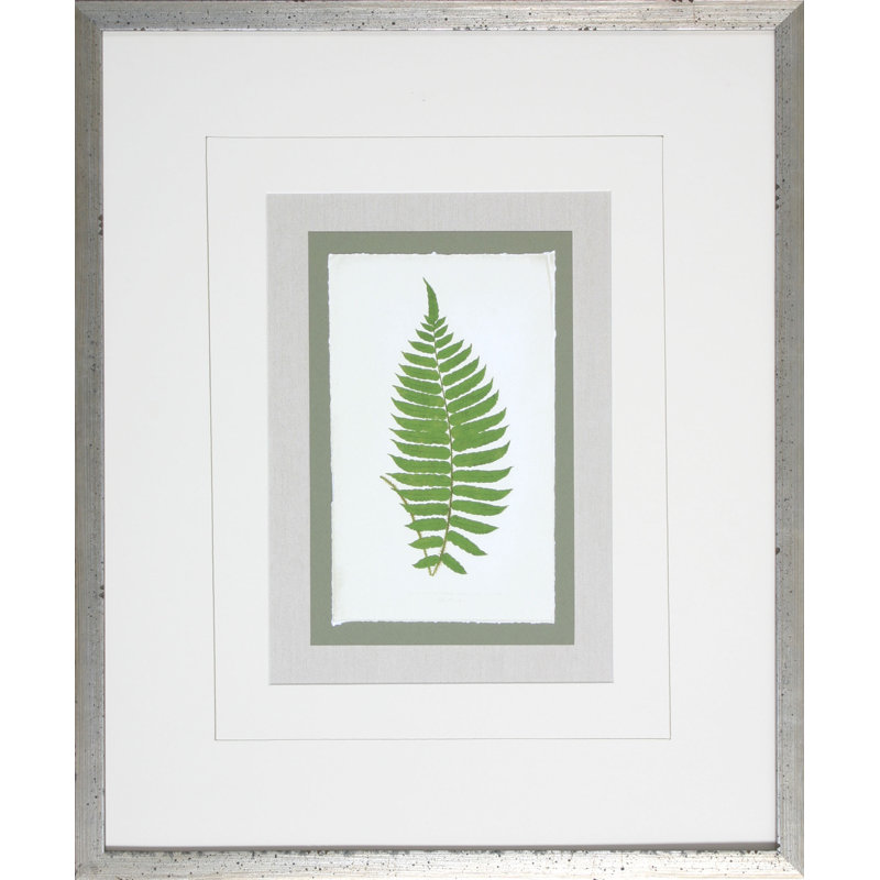 Fern2 - Cadre photo, impression sur papier