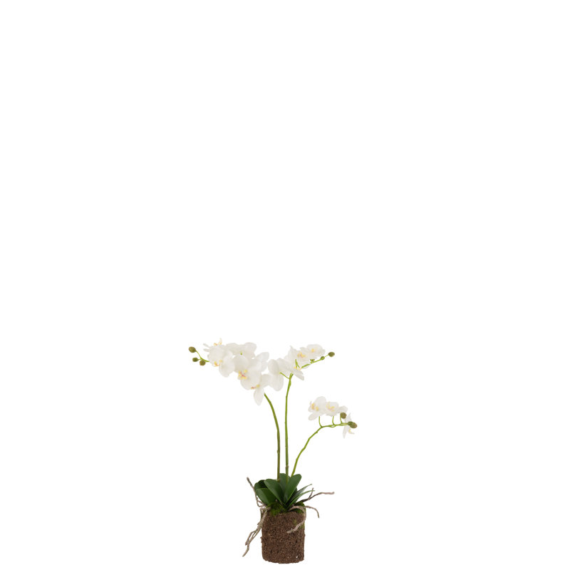 54 cm H Faux Plant
