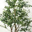 Approx. 83 Inches High Artificial Olive Tree