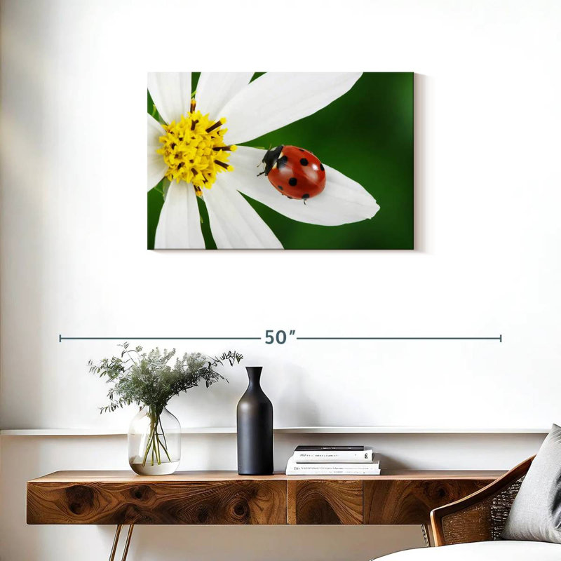 Brampt Ladybug On White Flower, 20" H x 30" W