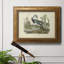Audubons Louisiana Heron - reproduction d'art sur toile