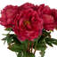 Tige de pivoine artificielle Cole and Grey-579464049-579464048