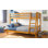 Vesper Standard Bunk Bed