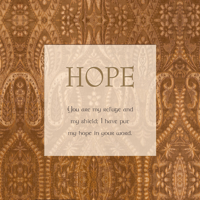 Tapestry Verse 2 Hope - Wrapped Canvas Print, 30cm H x 30cm W x 3.8cm D