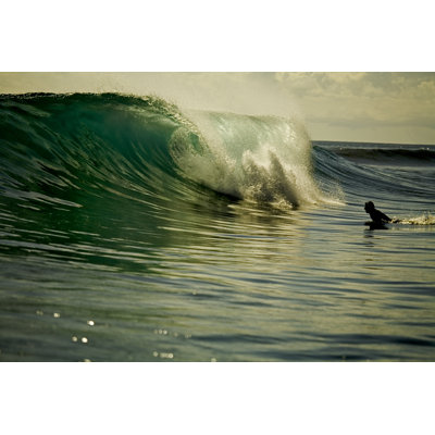 Duck Dive by Maybaybutter